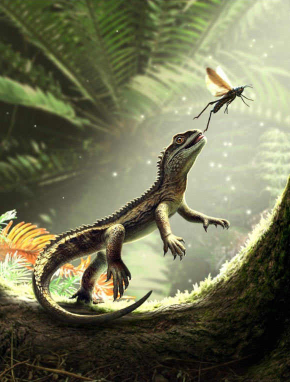 Agriodontosaurus helsbypetrae. Image credit: Bob Nicholls.