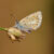 The Atlas blue butterfly (Polyommatus atlantica). Image credit: Roger Vila.