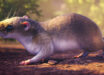 Hypothetical reconstruction of Acarechimys hunikuini. Image credit: Márcio Castro.