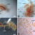 Bright field images are shown for vessels harvested as described in methods from (a) ostrich vessels soaked in hemoglobin solution under deoxygenating conditions, (b) ostrich vessels soaked in hemoglobin under oxygenated conditions, (c) vessels recovered from demineralized Brachylophosaurus canadensis and (d) Tyrannosaurus rex bone. Scale bars - 0.5 mm in (a-c) and 0.2 mm in (d). Image credit: Long et al., doi: 10.1098/rspa.2025.0175.