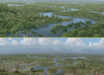 Dinosaurs were ecosystem engineers, preventing dense forests from growing; their sudden demise led to widescale ecological changes, as represented here in an artistic rendering. Image credit: Julius Csotonyi.