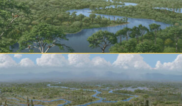 Dinosaurs were ecosystem engineers, preventing dense forests from growing; their sudden demise led to widescale ecological changes, as represented here in an artistic rendering. Image credit: Julius Csotonyi.