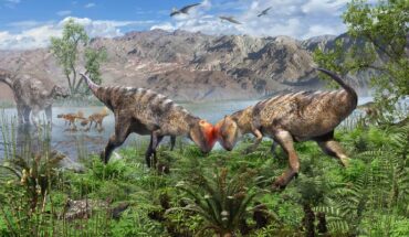 Young Zavacephale rinpoche duel for territory along a lakeshore 108 million years ago. Image credit: Masaya Hattori.