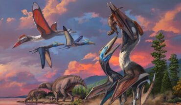 Life restoration of the Bayanshiree azhdarchid pterosaurs: the co-existence between Gobiazhdarcho tsogtbaatari and Tsogtopteryx mongoliensis in the Bayanshiree paleoenvironment, with a group of Gobihadros mongoliensis nearby. Image credit: Zhao Chuang.