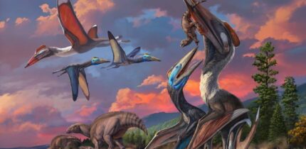 Life restoration of the Bayanshiree azhdarchid pterosaurs: the co-existence between Gobiazhdarcho tsogtbaatari and Tsogtopteryx mongoliensis in the Bayanshiree paleoenvironment, with a group of Gobihadros mongoliensis nearby. Image credit: Zhao Chuang.