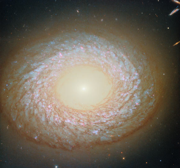 This Hubble image shows NGC 2775, a galaxy some 67 million light-years away in the constellation of Cancer. Image credit: NASA / ESA / Hubble / F. Belfiore / J. Lee / PHANGS-HST Team.