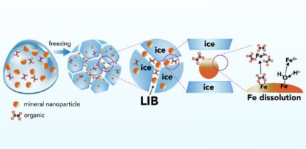 Schematic representation of iron mineral dissolution reactions in ice. Image credit: Sebaaly et al., doi: 10.1073/pnas.2507588122.