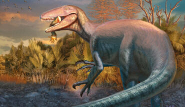 Joaquinraptor casali. Image credit: Andrew McAfee, Carnegie Museum of Natural History.