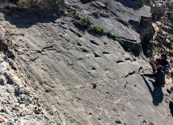 General view of the main tracksite with hominin trackways located in the northern cliff of Monte Clérigo beach, Portugal. Image credit: de Carvalho et al., doi: 10.1038/s41598-025-06089-4.