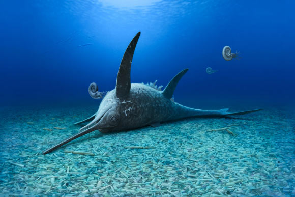 Eurhinosaurus mistelgauensis. Image credit: Andrey Atuchin.