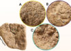 The three areas of blue residue present on the sandstone layer of the stone artifact from Mühlheim-Dietesheim, Germany. Image credit: Wisher et al., doi: 10.15184/aqy.2025.10184.