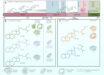 Pictorial representation of the timeline for ancient steranes, highlighting key compounds and their possible biogenic sources. Image credit: Shawar et al., doi: 10.1073/pnas.2503009122.