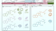 Pictorial representation of the timeline for ancient steranes, highlighting key compounds and their possible biogenic sources. Image credit: Shawar et al., doi: 10.1073/pnas.2503009122.