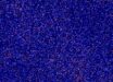 A small part of the sky seen in radio waves by the Murchison Widefield Array. Image credit: Nunhokee et al. / ICRAR / Curtin University.