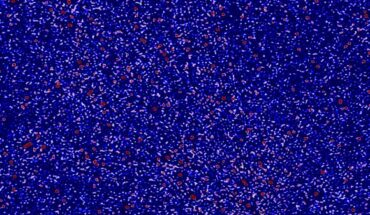 A small part of the sky seen in radio waves by the Murchison Widefield Array. Image credit: Nunhokee et al. / ICRAR / Curtin University.