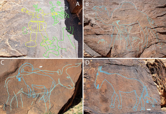 Rock art panels at Jebel Arnaan. Image credit: Maria Guagnin.