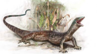 Life reconstruction of Breugnathair elgolensis. Image credit: Brennan Stokkermans / National Museums Scotland.