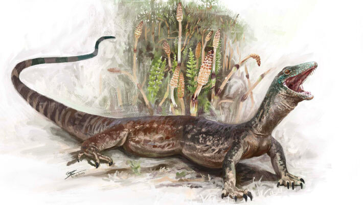 Life reconstruction of Breugnathair elgolensis. Image credit: Brennan Stokkermans / National Museums Scotland.