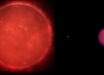 Schematic of the Wolf 1130ABC triple system, composed of the red dwarf star Wolf 1130A (left), its close and compact white dwarf companion Wolf 1130B (center), and the distant brown dwarf Wolf 1130C (right); the three components of this system are shown scaled to their relative sizes. Image credit: Adam Burgasser.