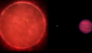 Schematic of the Wolf 1130ABC triple system, composed of the red dwarf star Wolf 1130A (left), its close and compact white dwarf companion Wolf 1130B (center), and the distant brown dwarf Wolf 1130C (right); the three components of this system are shown scaled to their relative sizes. Image credit: Adam Burgasser.