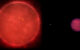 Schematic of the Wolf 1130ABC triple system, composed of the red dwarf star Wolf 1130A (left), its close and compact white dwarf companion Wolf 1130B (center), and the distant brown dwarf Wolf 1130C (right); the three components of this system are shown scaled to their relative sizes. Image credit: Adam Burgasser.