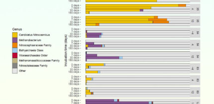 Abundance of Archaea across samples collected from the Permafrost Research Tunnel near Fairbanks, Alaska. Image credit: Caro et al., doi: 10.1029/2025JG008759.