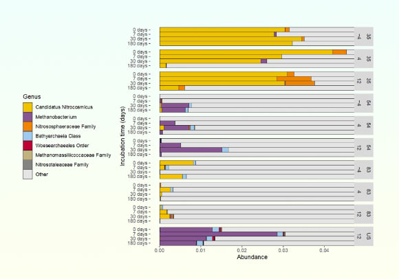 Abundance of Archaea across samples collected from the Permafrost Research Tunnel near Fairbanks, Alaska. Image credit: Caro et al., doi: 10.1029/2025JG008759.