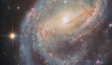 This Hubble image shows NGC 6951, a barred spiral galaxy some 70 million light-years away in the constellation of Cepheus. The color image was made from separate exposures taken in the visible and near-infrared regions of the spectrum with Hubble’s Advanced Camera for Surveys (ACS). Two filters were used to sample various wavelengths. The color results from assigning different hues to each monochromatic image associated with an individual filter. Image credit: NASA / ESA / Hubble / L.C. Ho / G. Brammer / A. Filippenko / C. Kilpatrick.