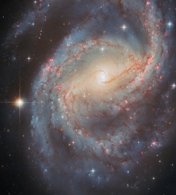 This Hubble image shows NGC 6951, a barred spiral galaxy some 70 million light-years away in the constellation of Cepheus. The color image was made from separate exposures taken in the visible and near-infrared regions of the spectrum with Hubble’s Advanced Camera for Surveys (ACS). Two filters were used to sample various wavelengths. The color results from assigning different hues to each monochromatic image associated with an individual filter. Image credit: NASA / ESA / Hubble / L.C. Ho / G. Brammer / A. Filippenko / C. Kilpatrick.