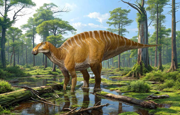Life reconstruction of Ahshislesaurus wimani based on the holotype and closely related species. Image credit: Sergey Krasovskiy.