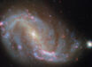 This Hubble image shows NGC 7496, a barred spiral galaxy some 24 million light-years away in the constellation of Grus. Image credit: NASA / ESA / Hubble / R. Chandar / J. Lee / PHANGS-HST Team.