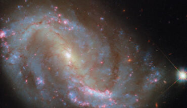 This Hubble image shows NGC 7496, a barred spiral galaxy some 24 million light-years away in the constellation of Grus. Image credit: NASA / ESA / Hubble / R. Chandar / J. Lee / PHANGS-HST Team.
