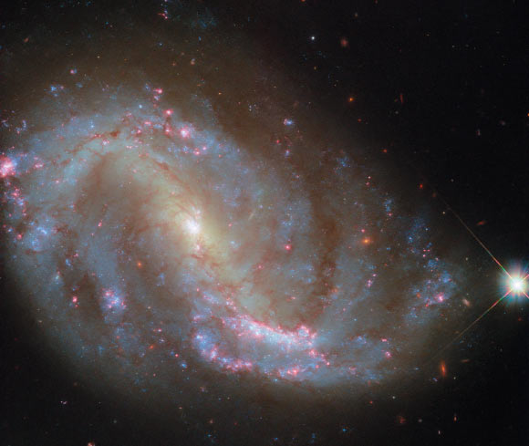 This Hubble image shows NGC 7496, a barred spiral galaxy some 24 million light-years away in the constellation of Grus. Image credit: NASA / ESA / Hubble / R. Chandar / J. Lee / PHANGS-HST Team.