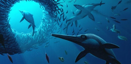 Life reconstruction of Xiphodracon goldencapensis. Image credit: Bob Nicholls.