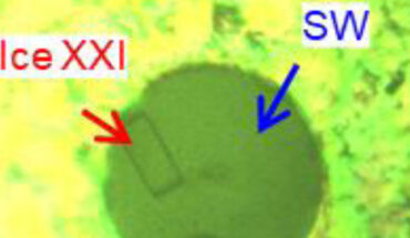 A small crystal of ice XXI formed through nucleation and slow melting process. Image credit: Lee et al., doi: 10.1038/s41563-025-02364-x.