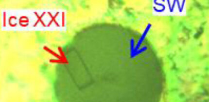 A small crystal of ice XXI formed through nucleation and slow melting process. Image credit: Lee et al., doi: 10.1038/s41563-025-02364-x.