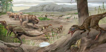 An artist’s reconstruction of Anteavis crurilongus. Image credit: Jorge Blanco.