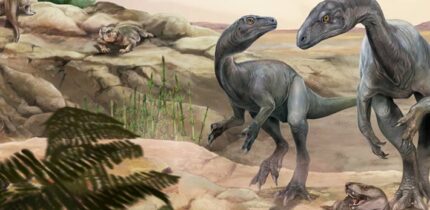 Huayracursor jaguensis. Image credit: Jorge Blanco.