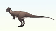 Life reconstruction of Brontotholus harmoni. Image credit: Connor Ashbridge / CC BY 4.0.