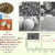 Thornton et al. investigated the solid urine of more than 20 reptile species. Image credit: Thornton et al., doi: 10.1021/jacs.5c10139.