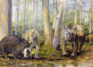 Megafaunal animals from Mammoth Cave about 50,000 years ago: the giant long-beaked echidna Murrayglossus hacketti, the giant kangaroo Procoptodon browneorum, the giant diprotodontid Zygomaturus trilobus, and the thylacine (Thylacinus cynocephalus). Image credit: Peter Schouten.