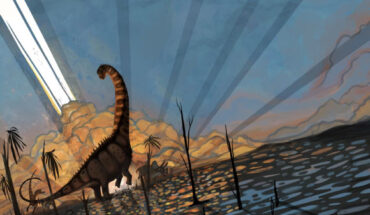 Flynn et al. analyzed Alamosaurus fossils found in northwestern New Mexico and discovered these dinosaurs were very different but the same age as dinosaurs found further north in Wyoming and Montana. Image credit: Natalia Jagielska.
