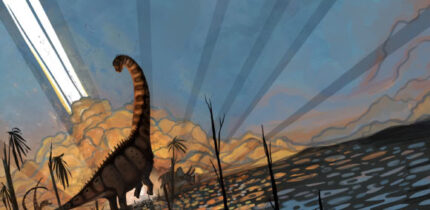 Flynn et al. analyzed Alamosaurus fossils found in northwestern New Mexico and discovered these dinosaurs were very different but the same age as dinosaurs found further north in Wyoming and Montana. Image credit: Natalia Jagielska.