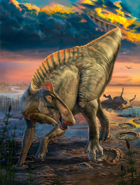 Life reconstruction of Edmontosaurus annectens. Image credit: Dani Navarro.