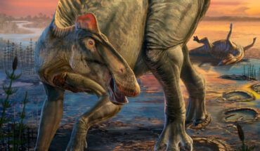 Life reconstruction of Edmontosaurus annectens. Image credit: Dani Navarro.