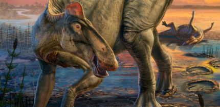 Life reconstruction of Edmontosaurus annectens. Image credit: Dani Navarro.