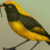 Life reconstruction of the St Bathans bowerbird (Aeviperditus gracilis). Image credit: Sasha Votyakova / Te Papa / CC BY 4.0.