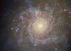 This Hubble image shows NGC 4571, a spiral galaxy some 60 million light-years away in the constellation of Coma Berenices. Image credit: NASA / ESA / Hubble / F. Belfiore / J. Lee / PHANGS-HST Team.