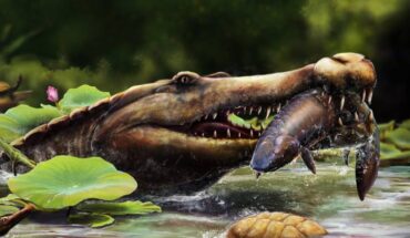 An artist’s impression of Wadisuchus kassabi. Image credit: Nathan Dehaut / MUVP.