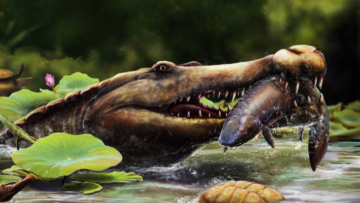 80-Million-Year-Old Fossils of Long-Snouted Crocodile Unearthed in Egypt